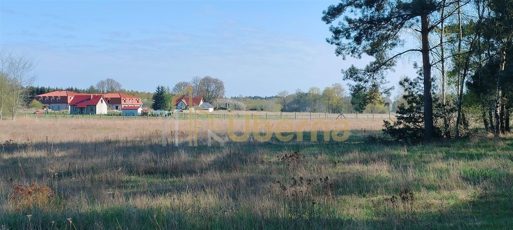 Stawno pow.kamieński Działka Inwestycyjna (2)