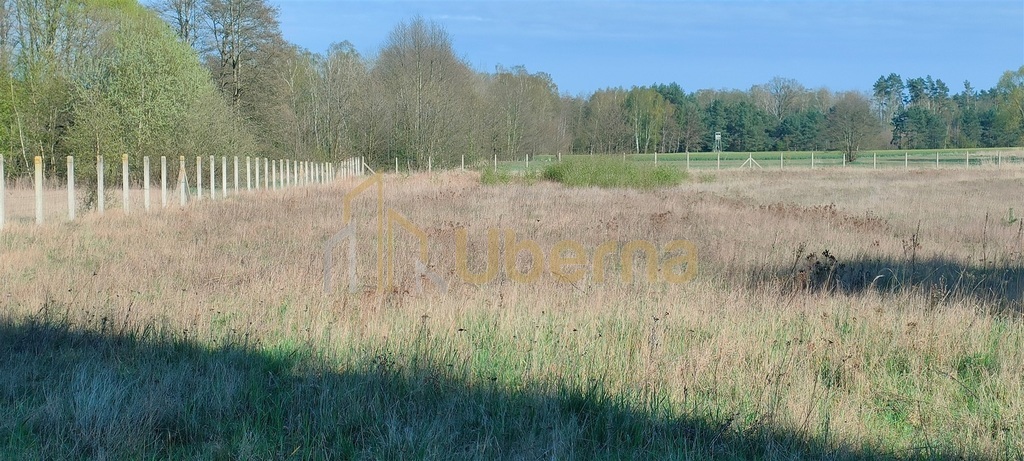 Stawno pow.kamieński Działka Inwestycyjna (4)