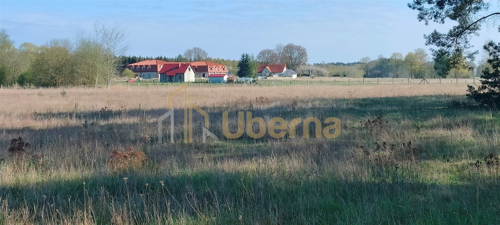 Stawno pow.kamieński Działka Inwestycyjna (6)