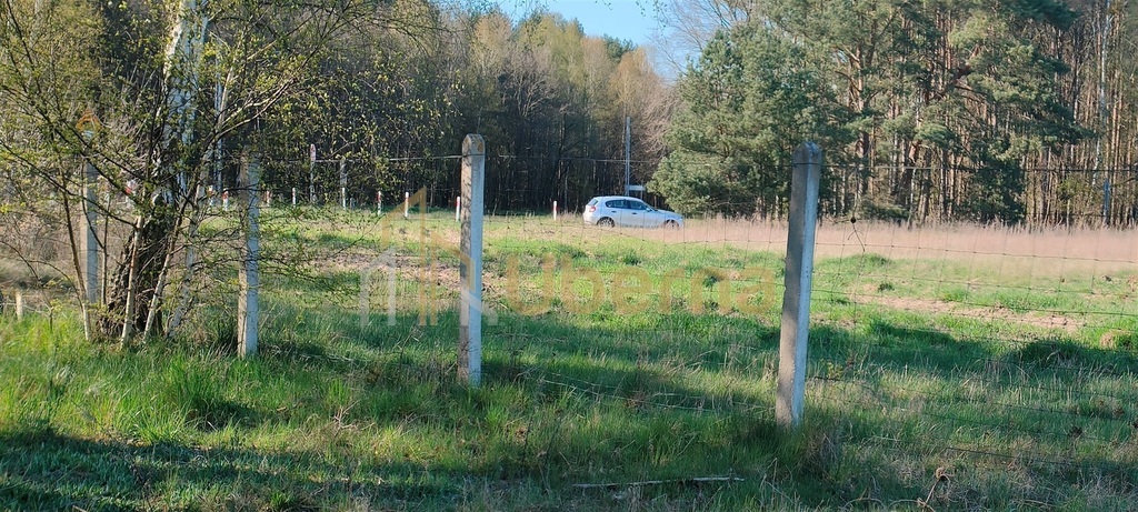 Stawno pow.kamieński Działka Inwestycyjna (7)