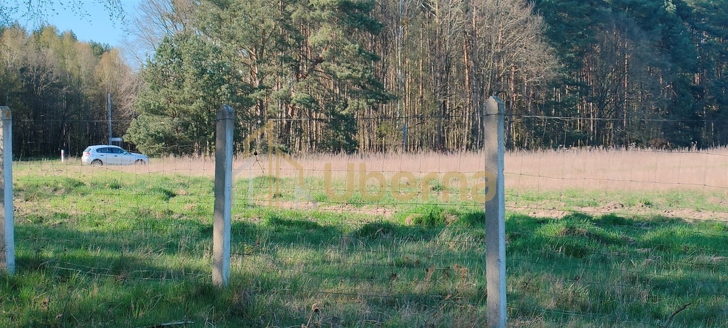 Stawno pow.kamieński Działka Inwestycyjna (9)