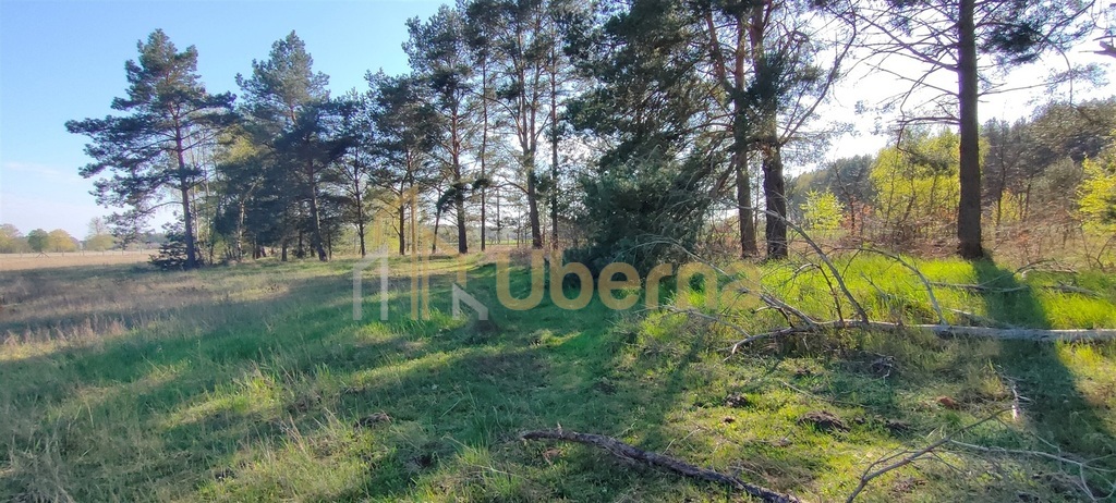 Stawno pow.kamieński Działka Inwestycyjna (10)