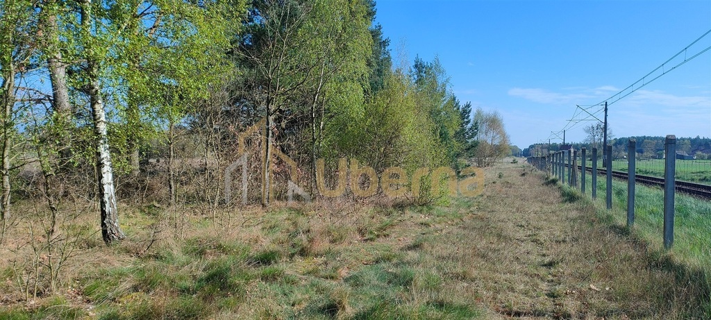 Stawno pow.kamieński Działka Inwestycyjna (12)