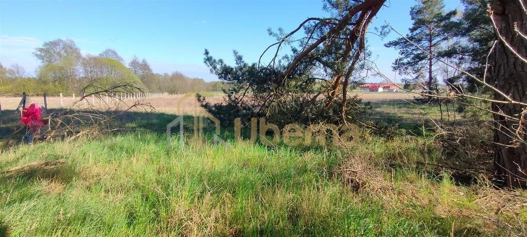 Stawno pow.kamieński Działka Inwestycyjna (13)