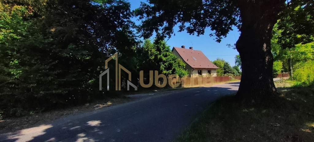 Stawno pow.kamieński Działka Inwestycyjna (15)