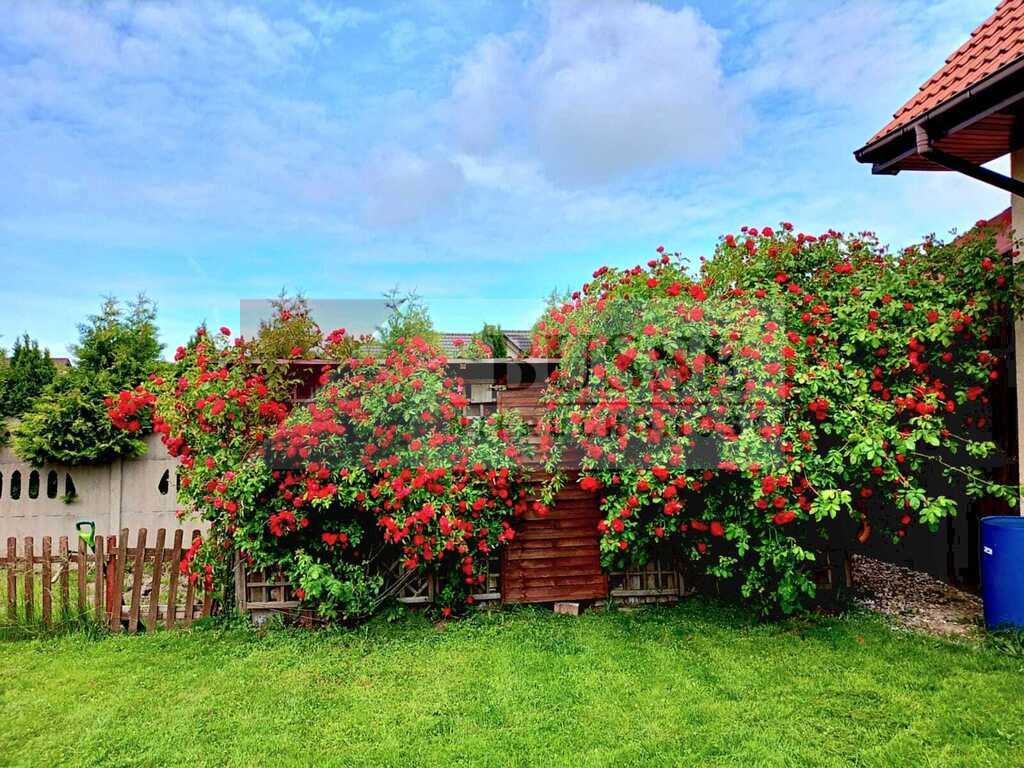 Dom wolnostojący na przedmieściach Koszalina!!! (18)