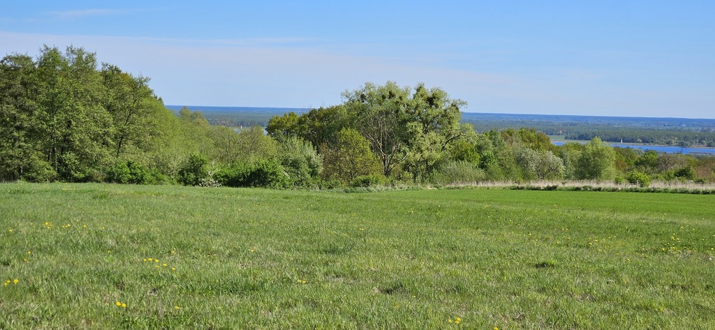 Zainwestuj w widok – spokojna dzielnica Szczecina (4)