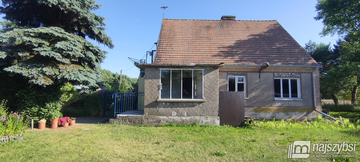 Rabiąż- nieruchomość na uboczu (37)