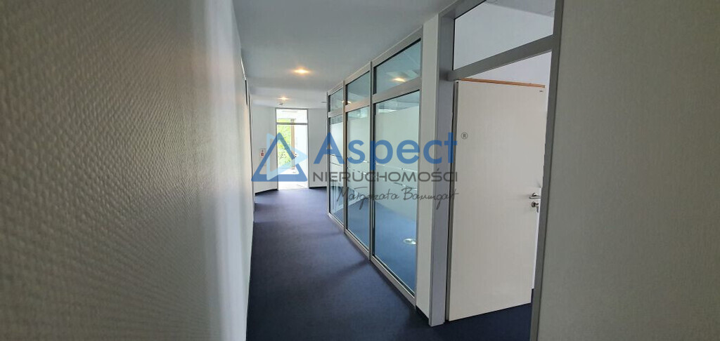 Lokal, 321 m2, 0 piętro, Szczecin Centrum (8)