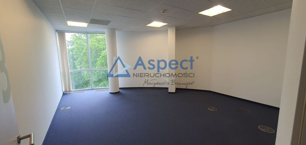 Lokal, 321 m2, 0 piętro, Szczecin Centrum (9)