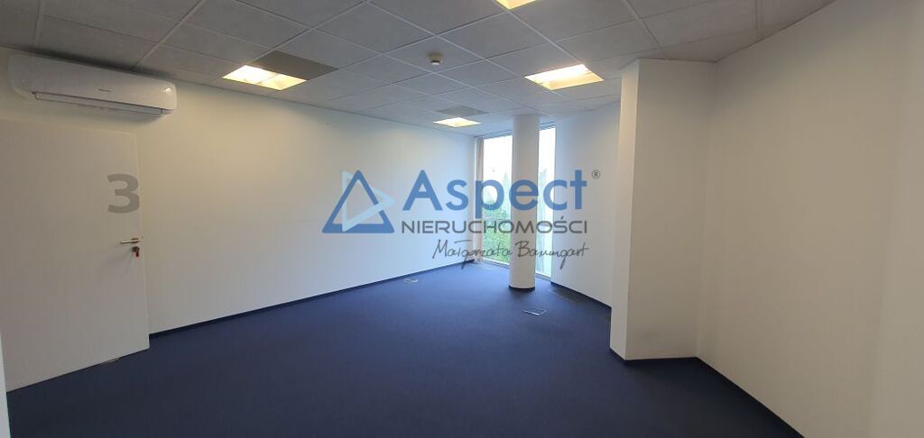 Lokal, 321 m2, 0 piętro, Szczecin Centrum (10)