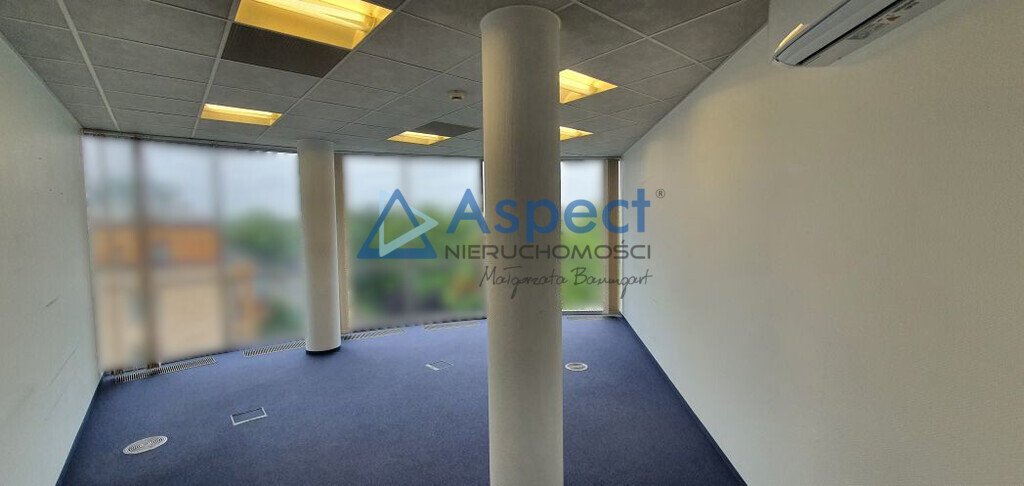 Lokal, 321 m2, 0 piętro, Szczecin Centrum (1)