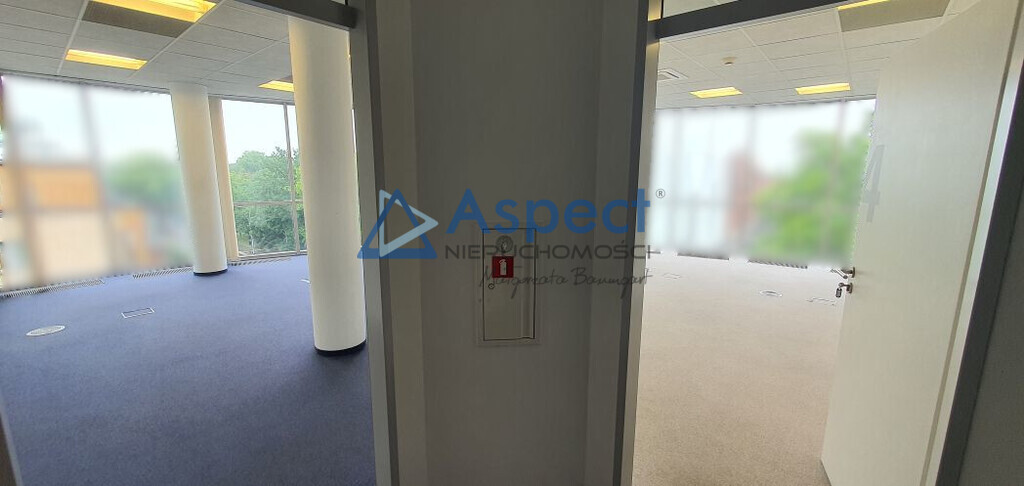 Lokal, 321 m2, 0 piętro, Szczecin Centrum (21)