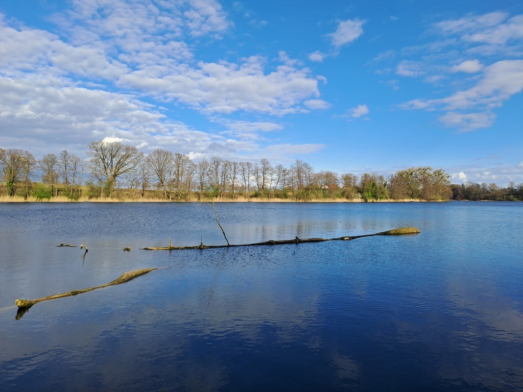 Piękna działka nad jeziorem w Choszcznie (6)