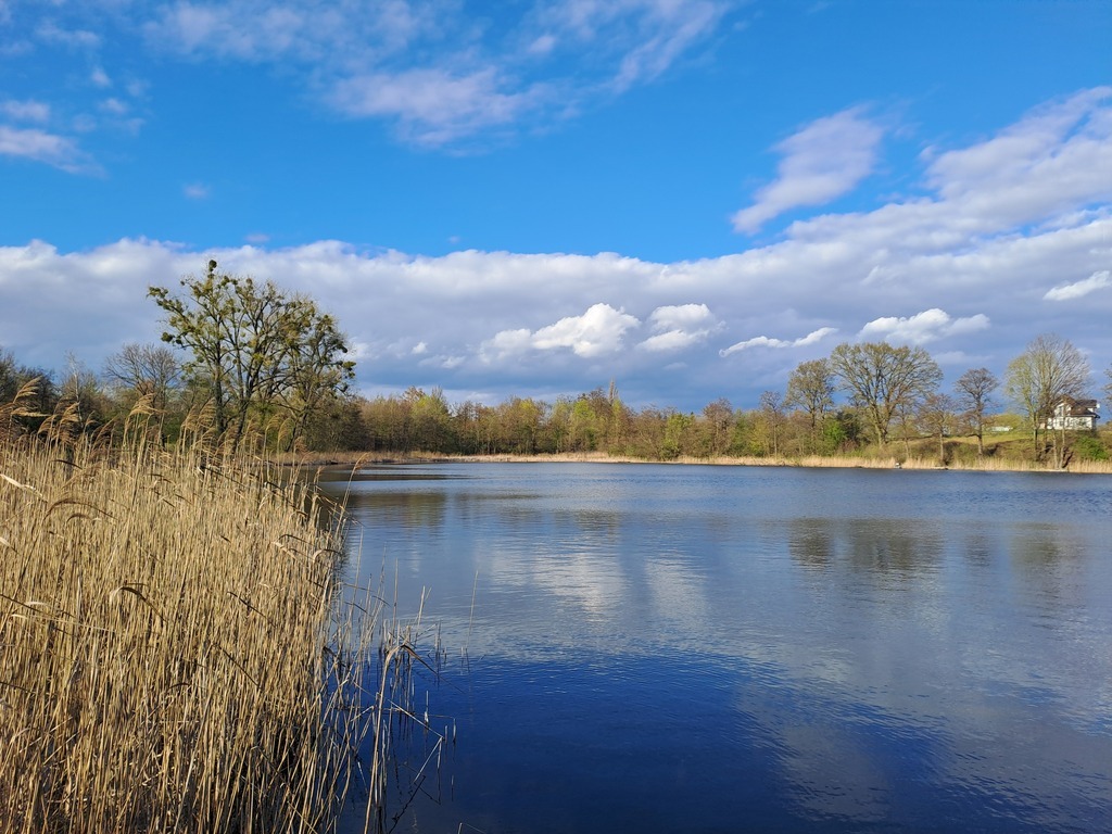 Piękna działka nad jeziorem w Choszcznie (7)