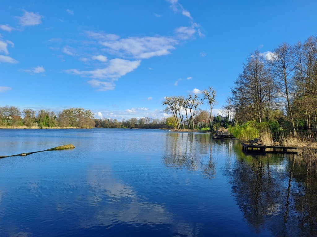 Piękna działka nad jeziorem w Choszcznie (9)