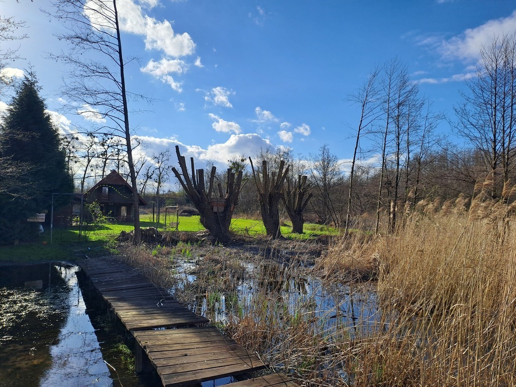 Piękna działka nad jeziorem w Choszcznie (10)