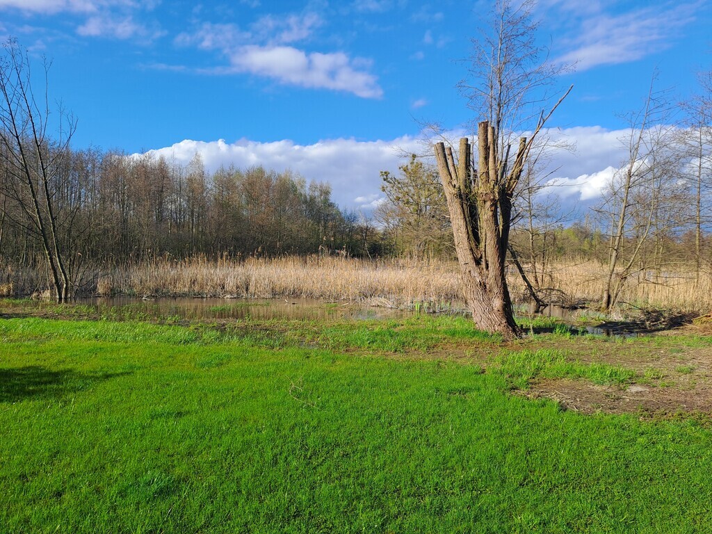 Piękna działka nad jeziorem w Choszcznie (13)