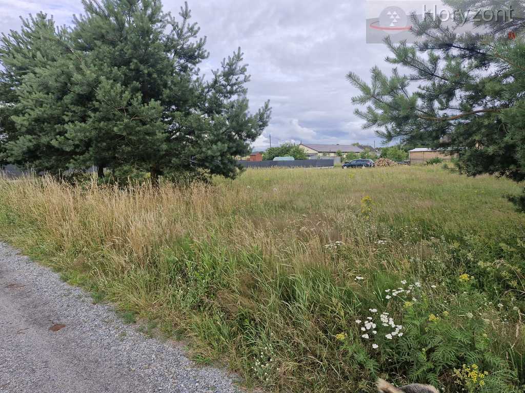 Działka 2200m2 w Modrzewiu, 160zł/1m2 (3)