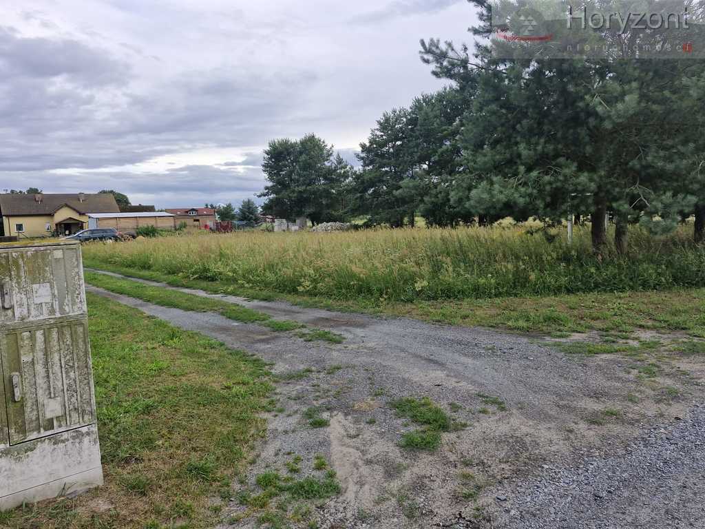 Działka 2200m2 w Modrzewiu, 160zł/1m2 (1)