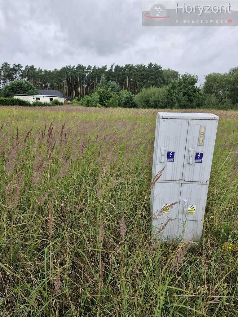 Działka 1980m2 w Modrzewiu, 140zł/1m2 (1)