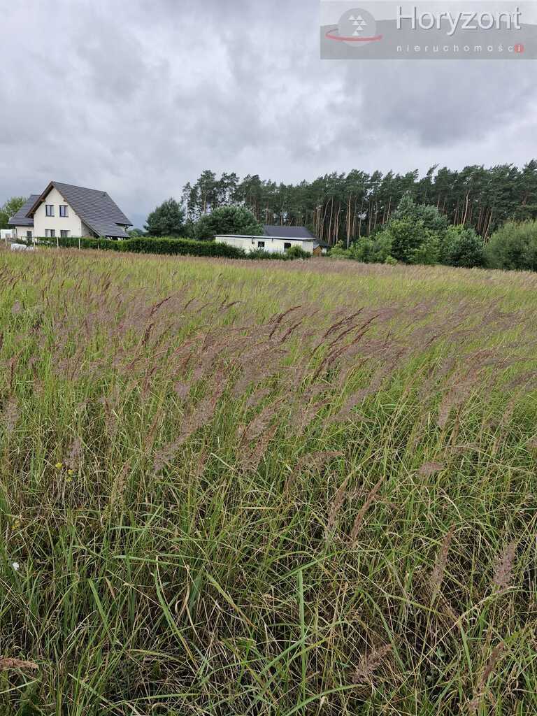 Działka 1980m2 w Modrzewiu, 140zł/1m2 (2)