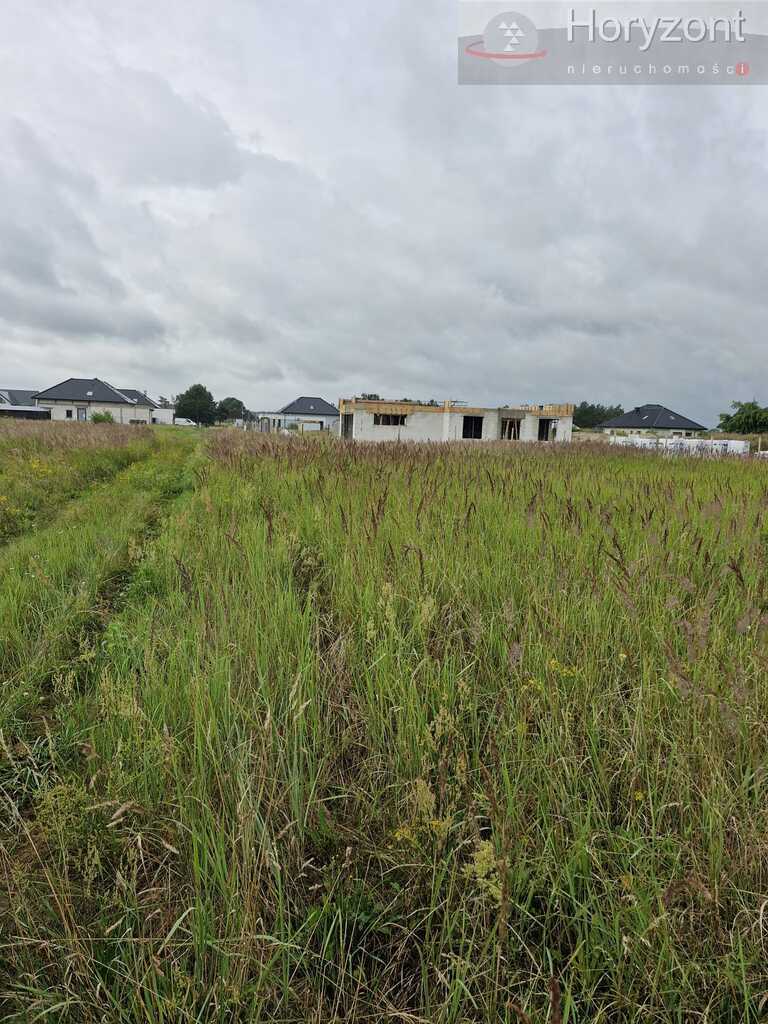 Działka 1980m2 w Modrzewiu, 140zł/1m2 (3)