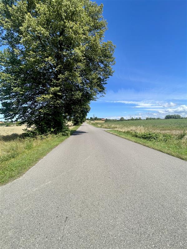 Działka budowlana, Dobrzyca, WZ, woda, prąd! (10)