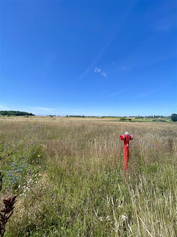 Działka Dobrzyca, OKAZJA, pilna sprzedaż! WZ (5)