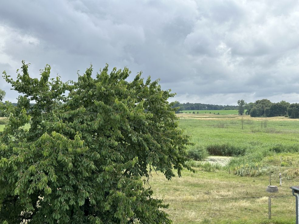 Bismark  dom wolnostojący  blisko granicy (15)