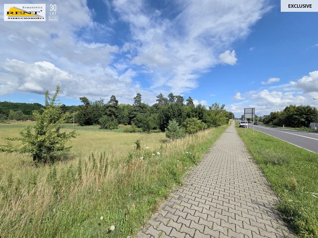 Działka inwestycyjna 1.1Ha Lubieszyn (2)