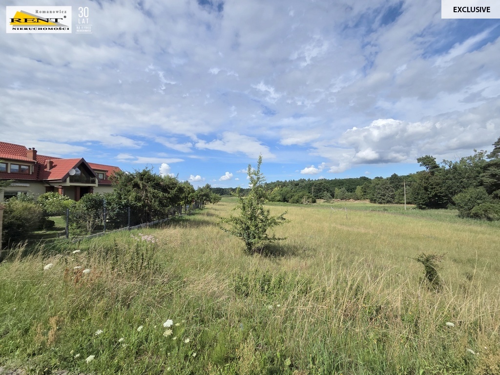 Działka inwestycyjna 1.1Ha Lubieszyn (3)