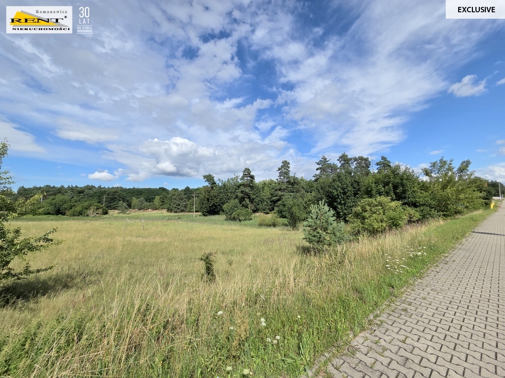 Działka inwestycyjna 1.1Ha Lubieszyn (4)