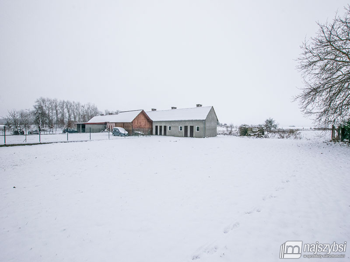 Wierzchowo - idealna oferta dla inwestorów (28)