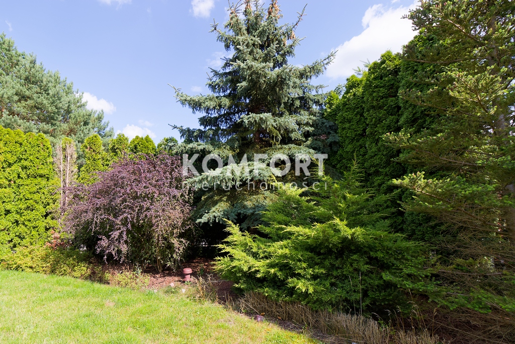 Luksusowy dom z basenem, sauną i pięknym ogrodem. (18)