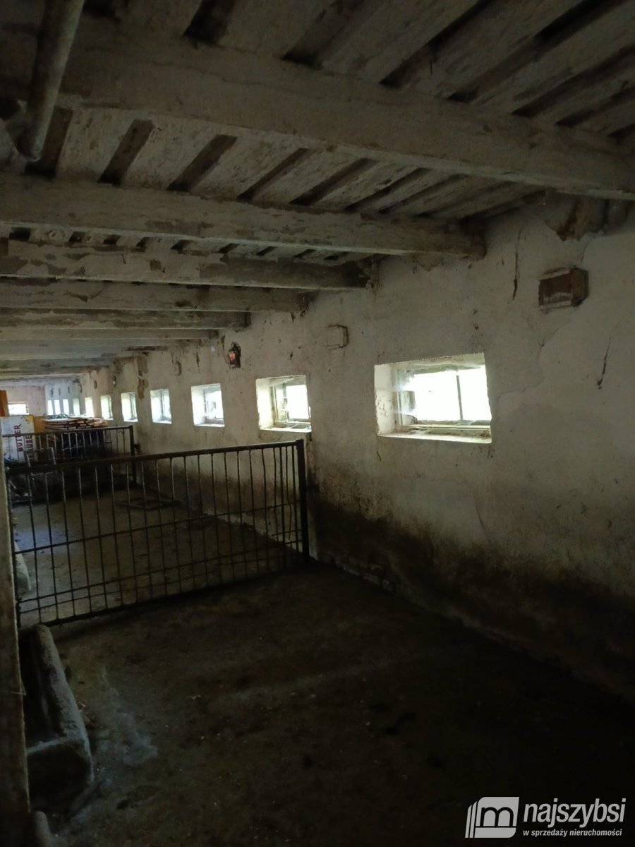 Golice- Działka na sprzedaż (10)