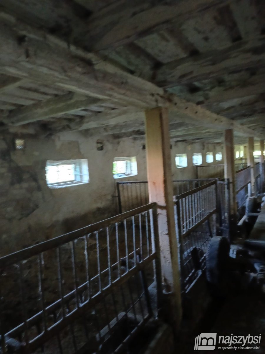 Golice- Działka na sprzedaż (11)