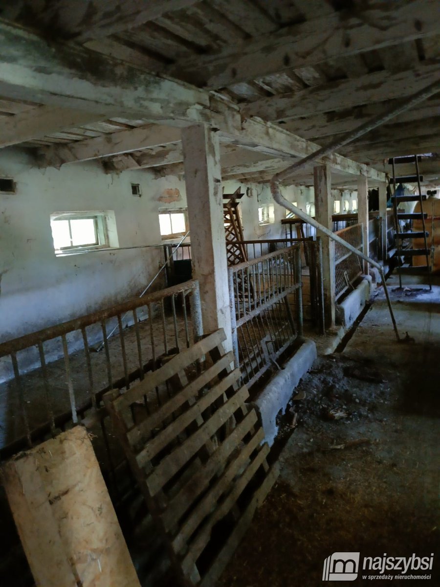 Golice- Działka na sprzedaż (12)