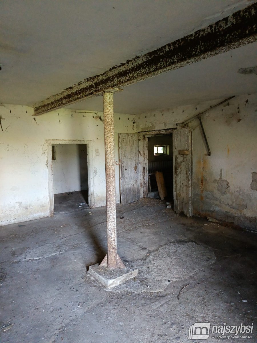 Golice- Działka na sprzedaż (13)