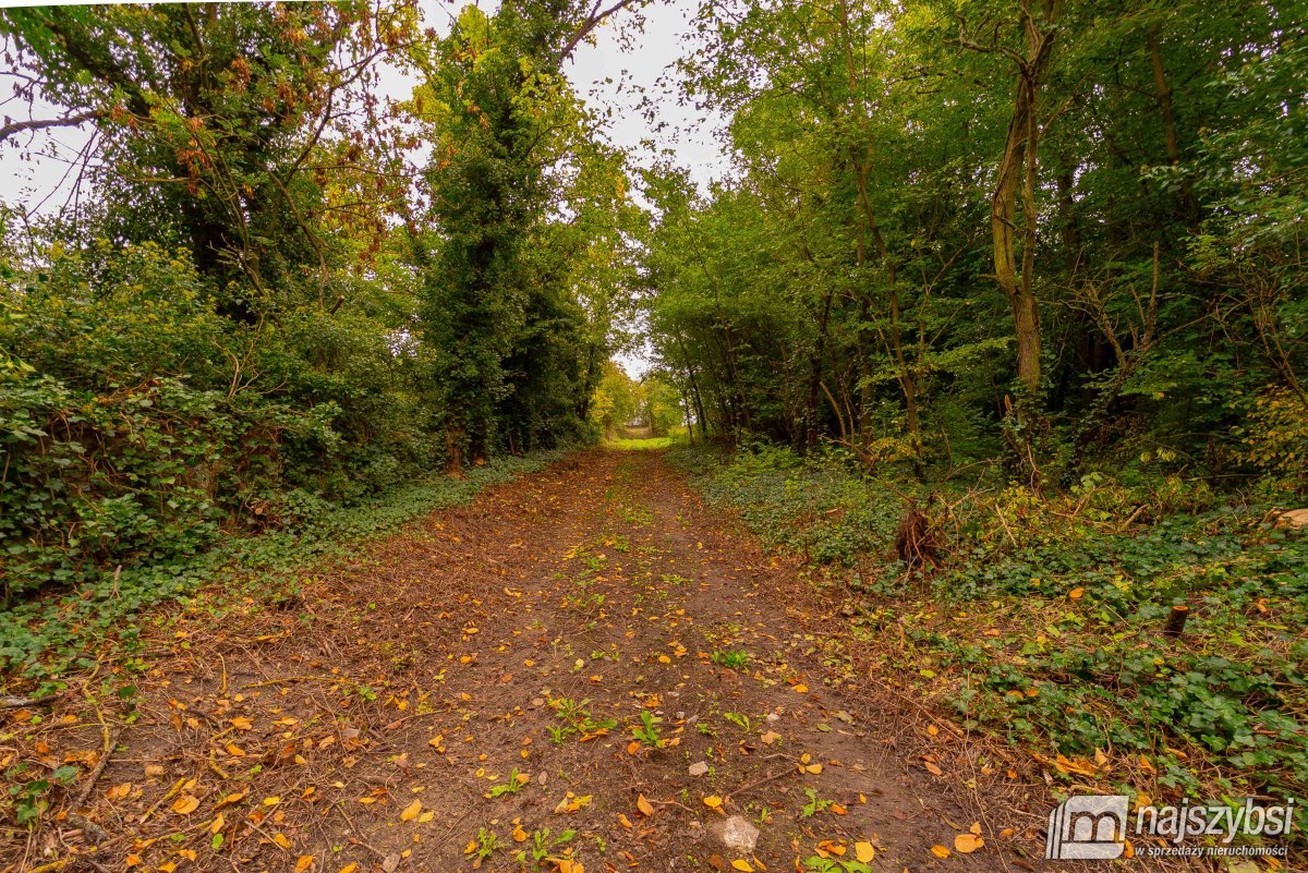 Golice- Działka na sprzedaż (14)