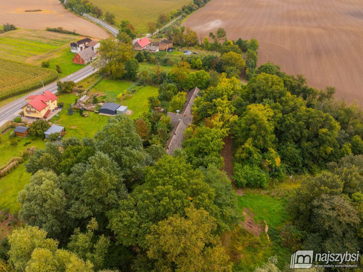 Golice- Działka na sprzedaż (17)