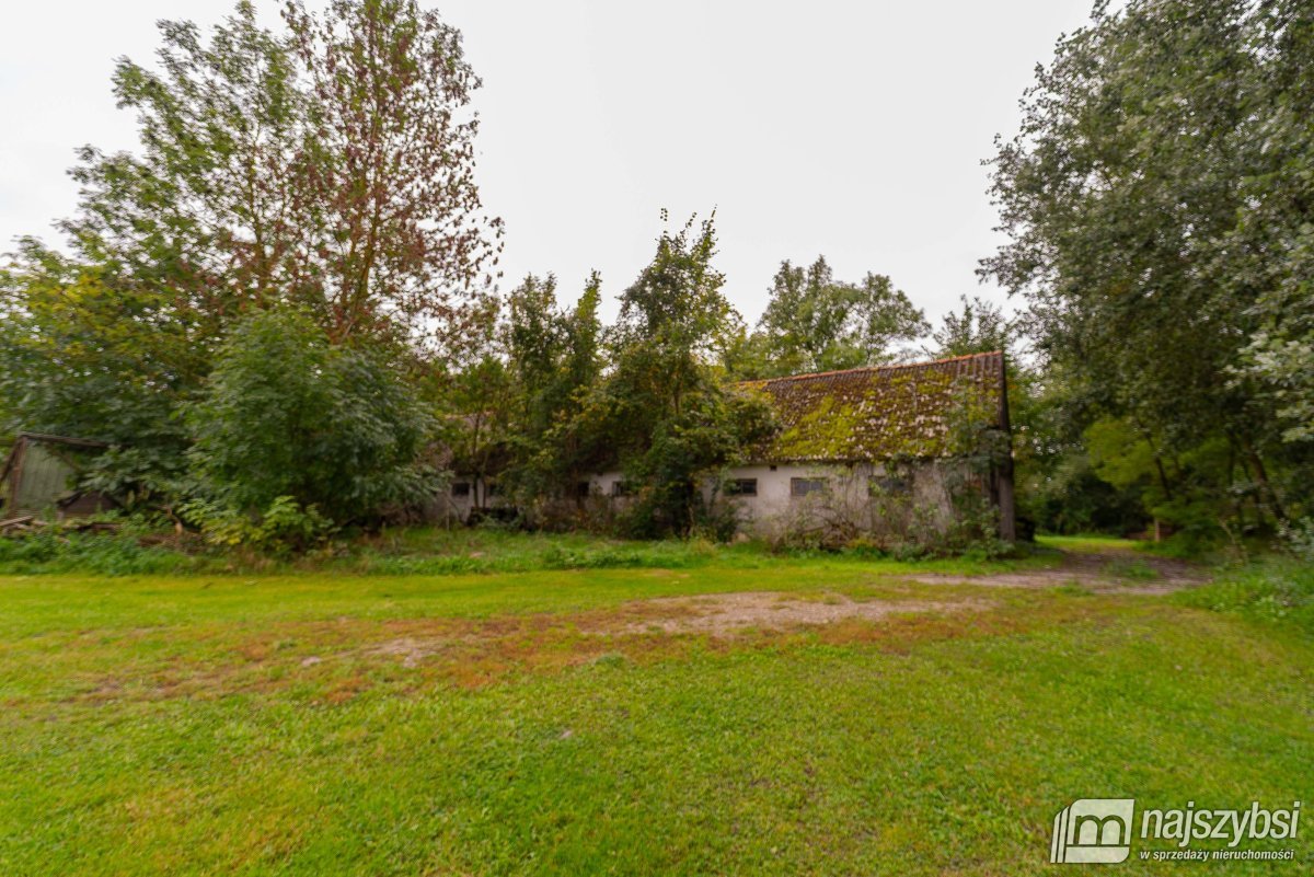 Golice- Działka na sprzedaż (6)