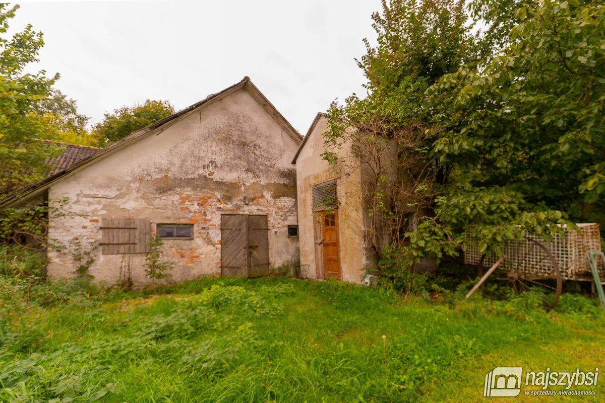 Golice- Działka na sprzedaż (7)