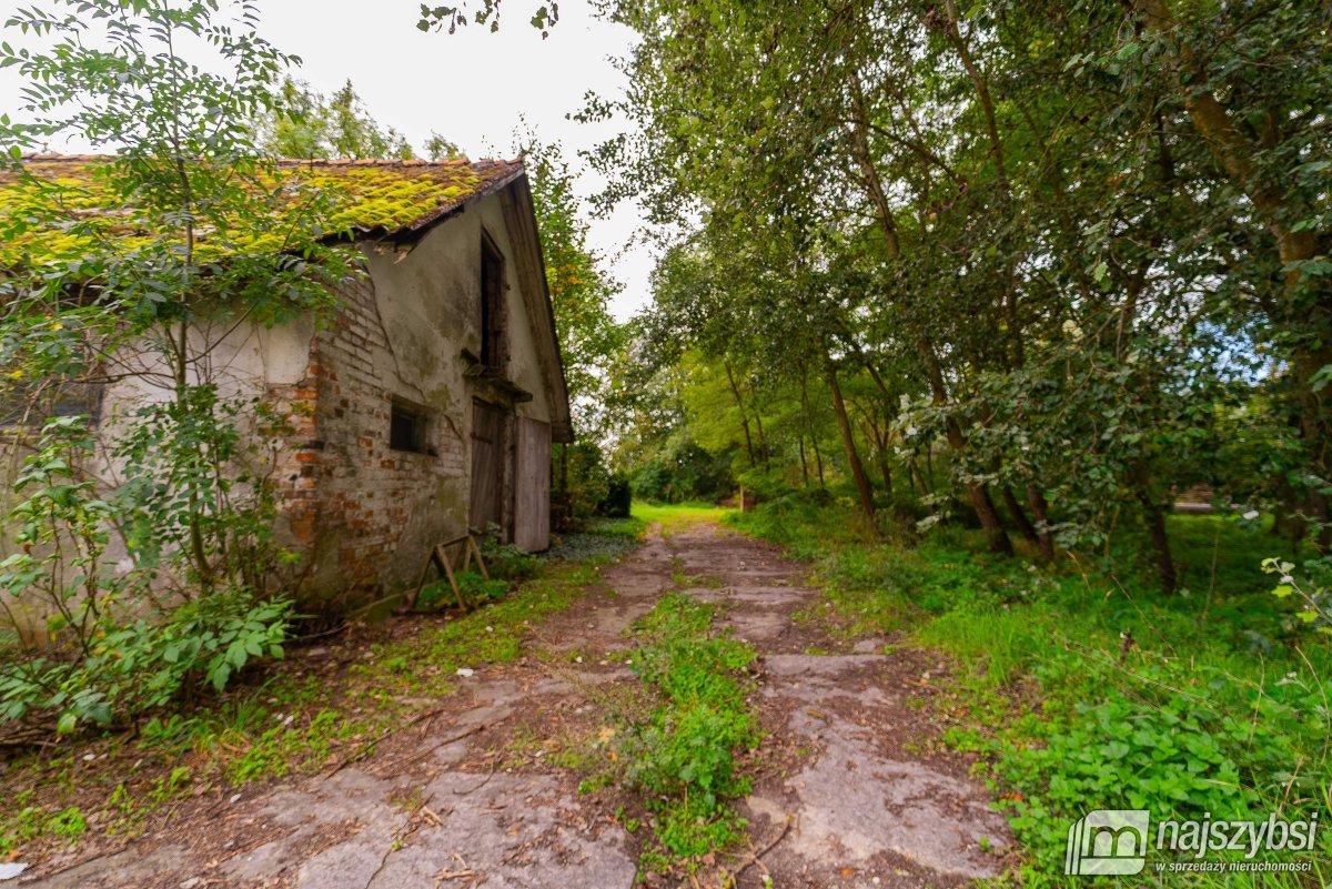 Golice- Działka na sprzedaż (8)