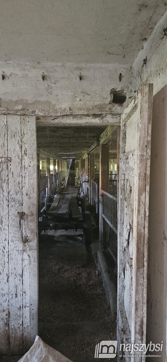 Golice- Działka na sprzedaż (9)