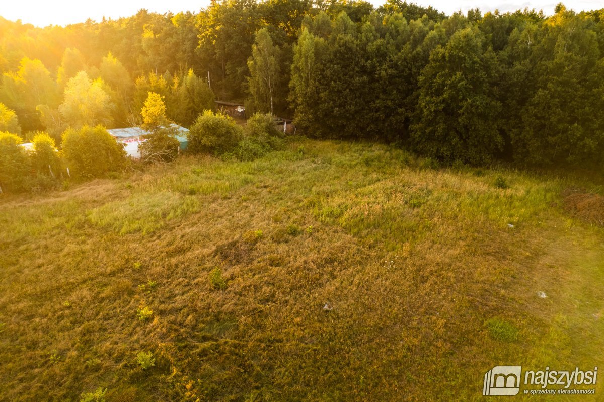 Uniemyśl- działka budowlana w otulinie lasu (11)