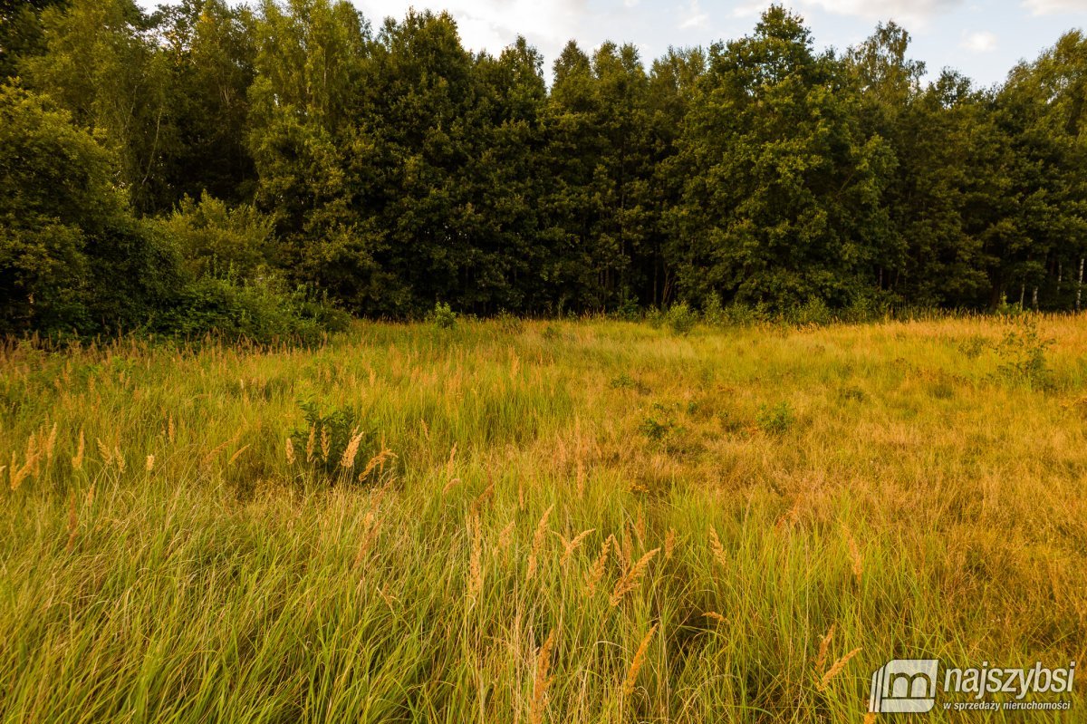 Uniemyśl- działka budowlana w otulinie lasu (16)
