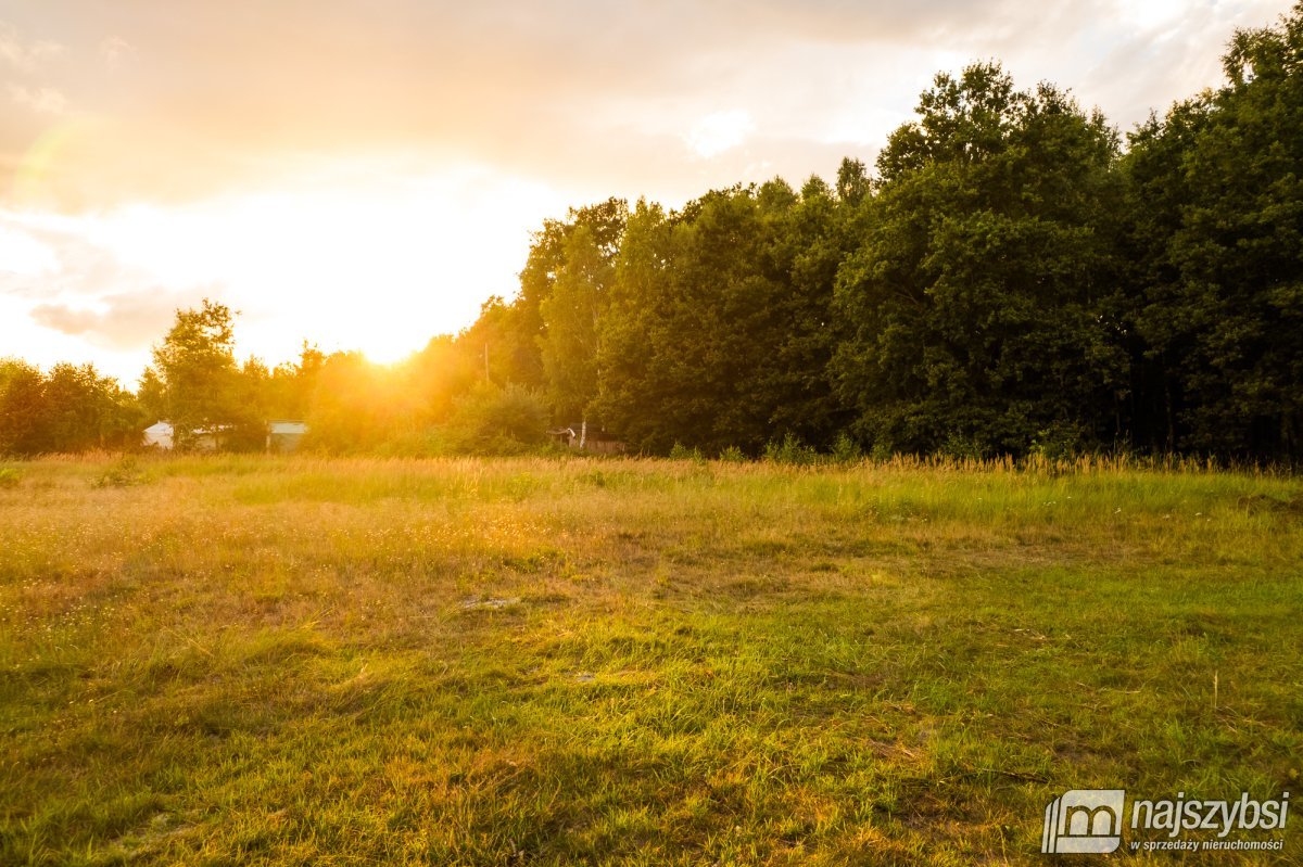 Uniemyśl- działka budowlana w otulinie lasu (3)