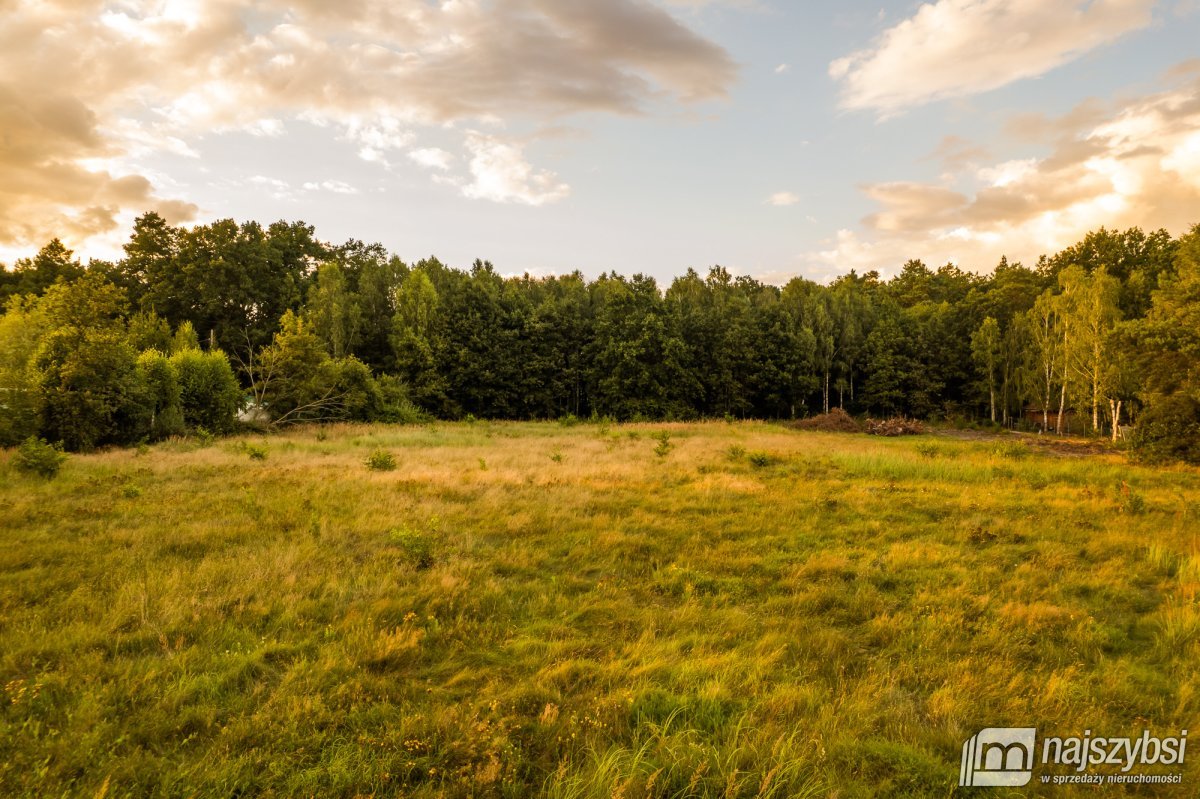 Uniemyśl- działka budowlana w otulinie lasu (6)