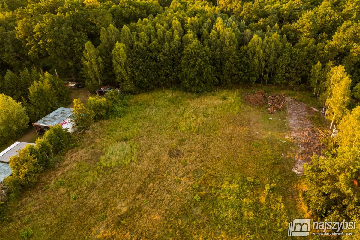 Uniemyśl- działka budowlana w otulinie lasu (9)